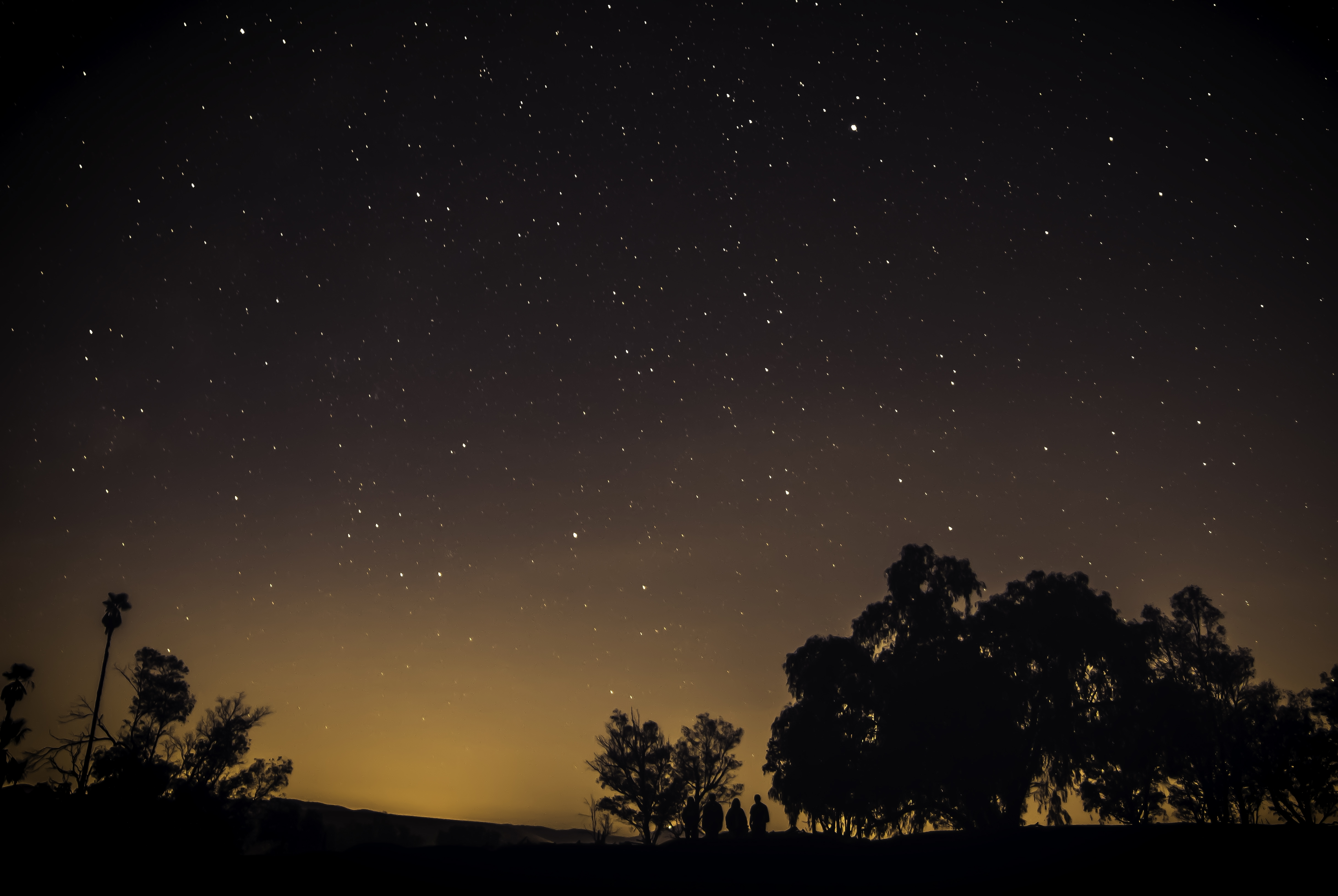 A photo of an orange, starry night sky. People and trees are silhouetted in the foreground